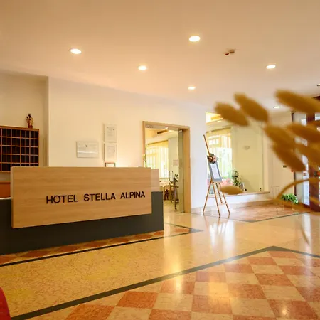 Stella Alpina Hotel 3*